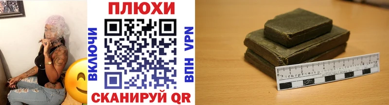 ГАШ Ice-O-Lator  Купить где  Суджа 