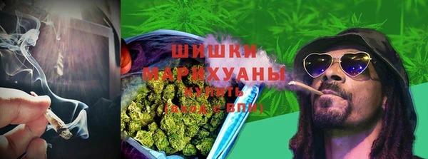 спиды Арсеньев