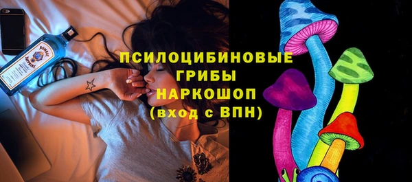 спиды Арсеньев