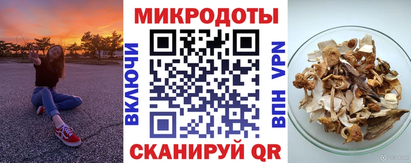 Купить где  Суджа  Псилоцибиновые грибы Psilocybe 